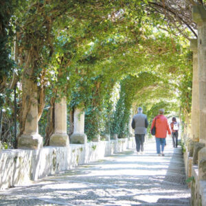 Tour durch die Alfabia-Gärten ab Palma