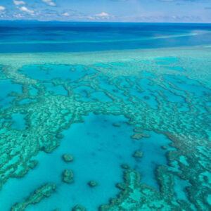 Tour zum Great Barrier Reef und zur Marine World Platform
