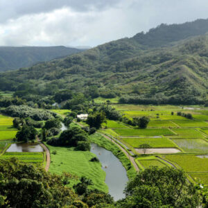 Hanalei Kajaktour