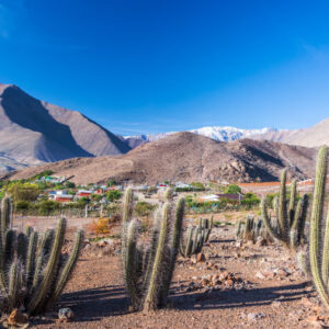 Private Tour durch das Elqui-Tal