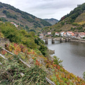 Tour durch Saviñao und Pantón