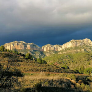 Besuch des Weinguts La Conreria d'Scala Dei