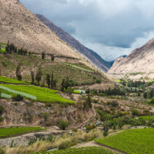 Elqui-Tal-Tour
