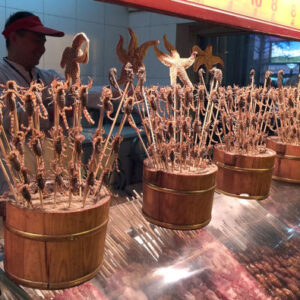 Wangfujing Nachtmarkt Private Tour